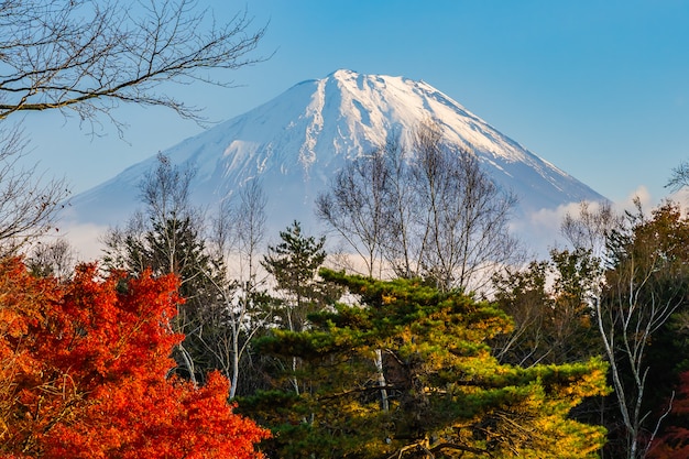 Hermoso paisaje de montaña fuji