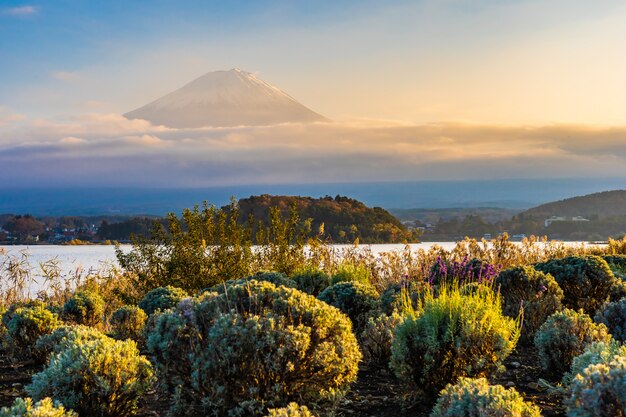 Hermoso paisaje de montaña fuji