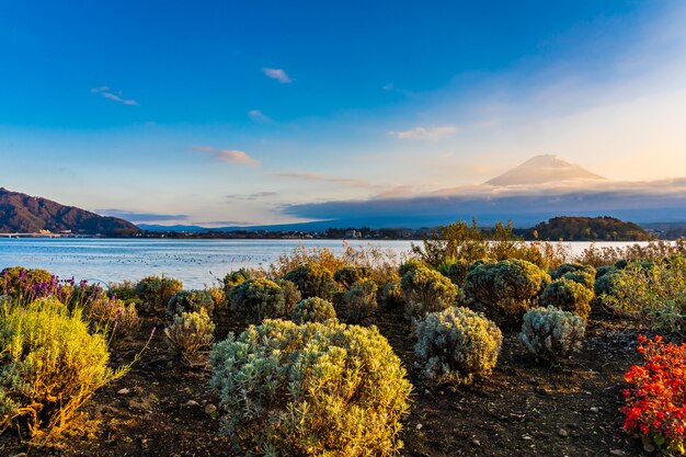 Hermoso paisaje de montaña fuji