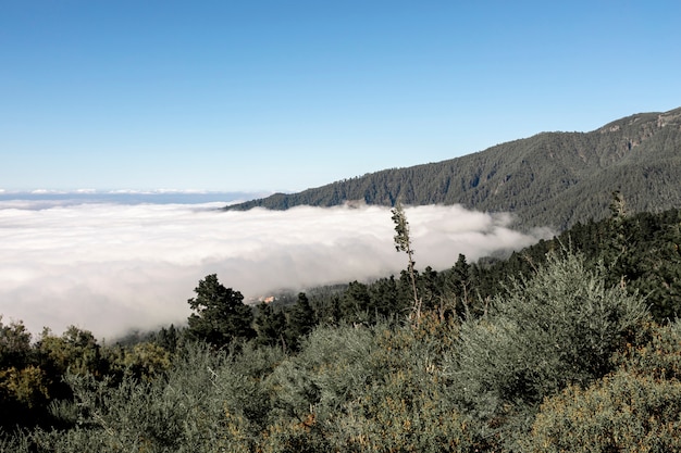 Foto gratuita hermoso paisaje de montaña sobre las nubes