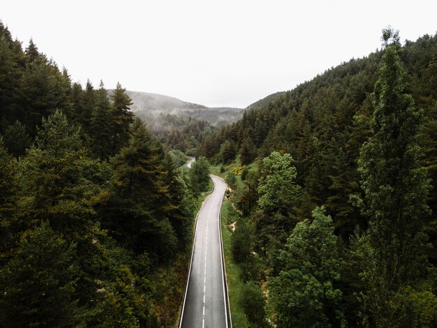 Hermoso paisaje de montaña