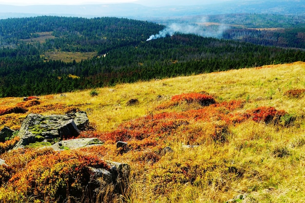 Hermoso paisaje de las montañas y bosques de Harz en Alemania en otoño