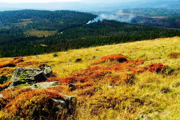 Hermoso paisaje de las montañas y bosques de Harz en Alemania en otoño