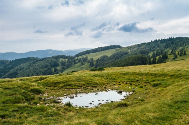 Hermoso paisaje de las montañas de los Cárpatos ucranianos.