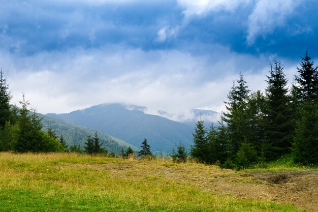 Hermoso paisaje de las montañas de los Cárpatos ucranianos.