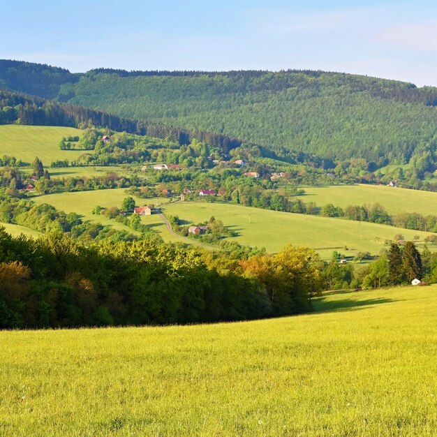 Hermoso paisaje en las montañas en verano. República Checa - los Cárpatos Blancos - Europa.