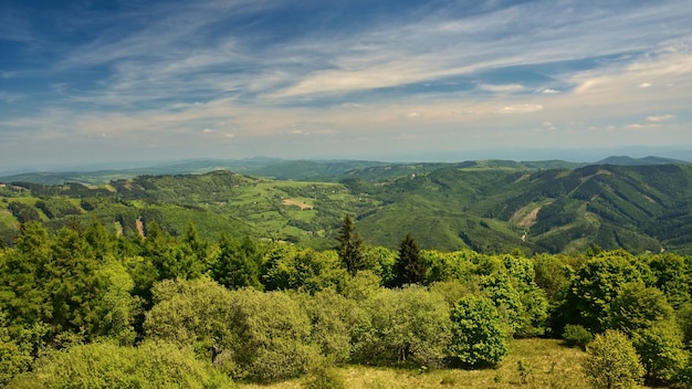 Hermoso paisaje en las montañas en verano