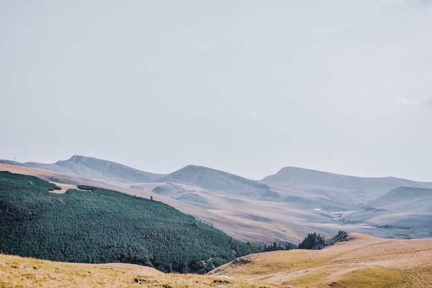 Hermoso paisaje montañoso cubierto de árboles