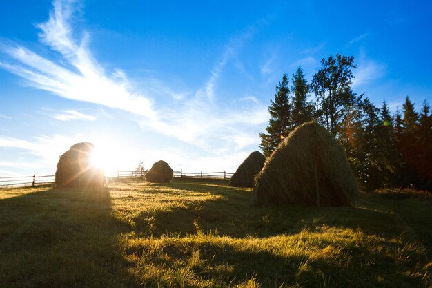 Hermoso paisaje de montones de heno en el campo