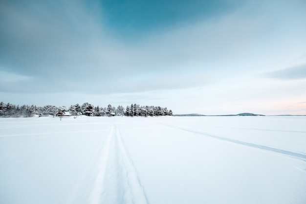 Hermoso paisaje de muchos árboles sin hojas en una tierra cubierta de nieve durante la puesta de sol