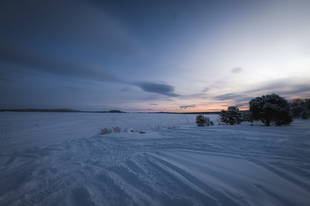 Hermoso paisaje de muchos árboles sin hojas en una tierra cubierta de nieve durante la puesta de sol