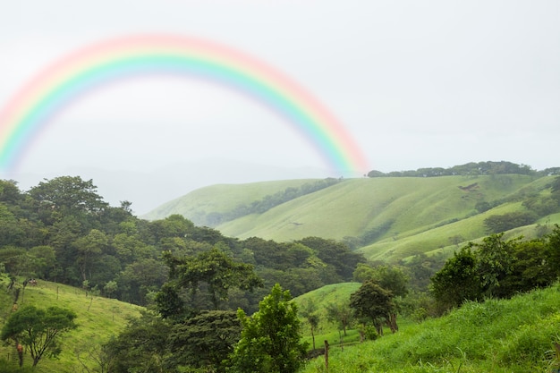 Foto gratuita hermoso paisaje natural con arco iris