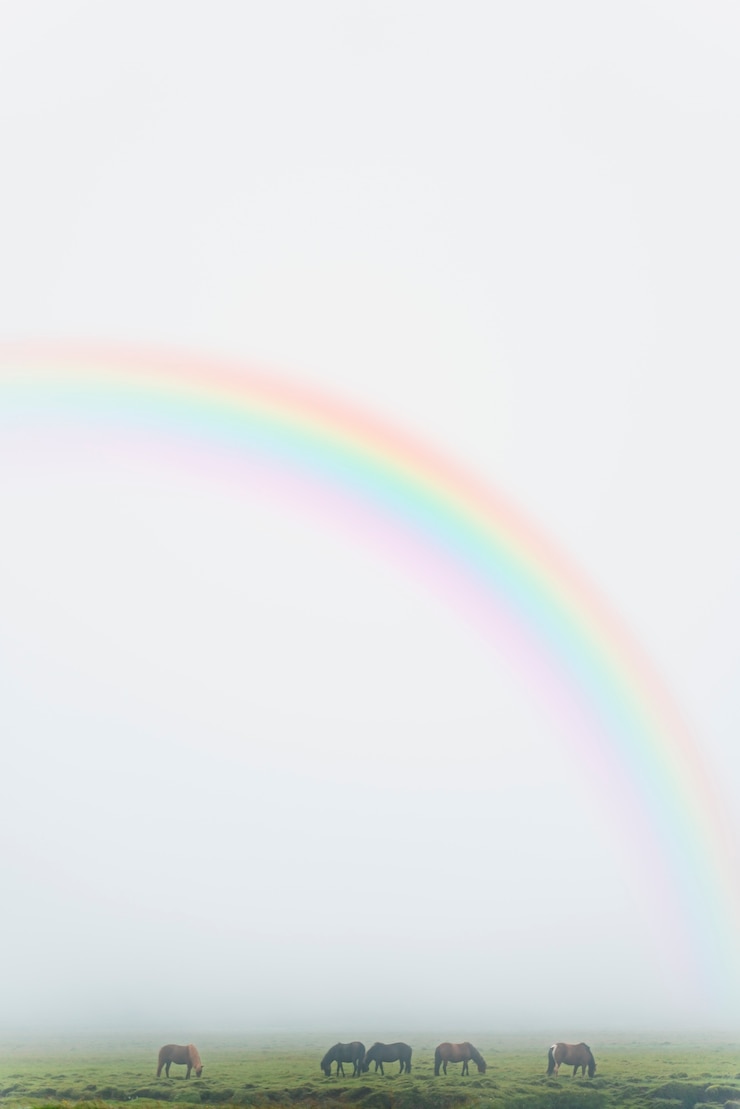 Foto gratuito hermoso paisaje natural con arco iris