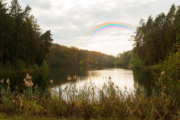 Hermoso paisaje natural con arco iris