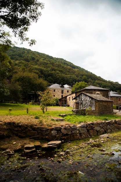 Hermoso paisaje natural del bosque.