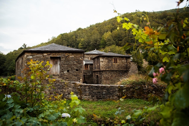 Foto gratuita hermoso paisaje natural del bosque.