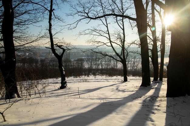 Hermoso paisaje natural de invierno