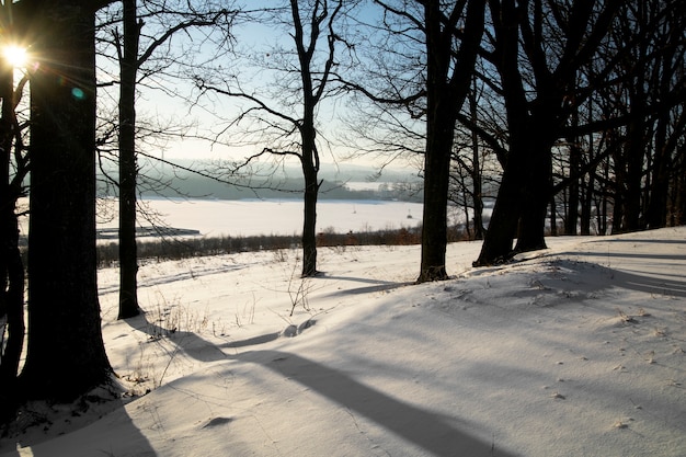 Hermoso paisaje natural de invierno