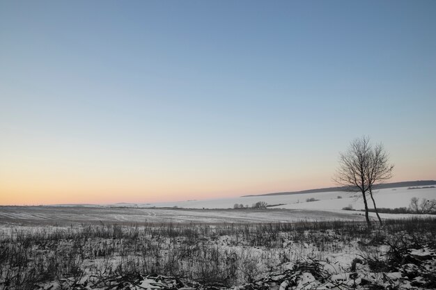 Foto gratuita hermoso paisaje natural de invierno