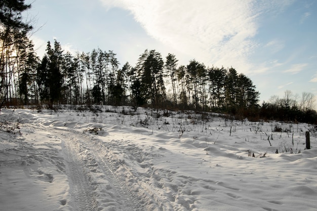 Foto gratuita hermoso paisaje natural de invierno