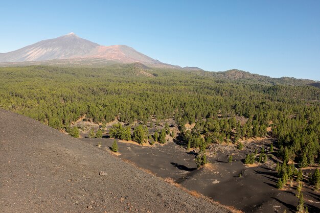 Hermoso paisaje natural con montaña y bosque