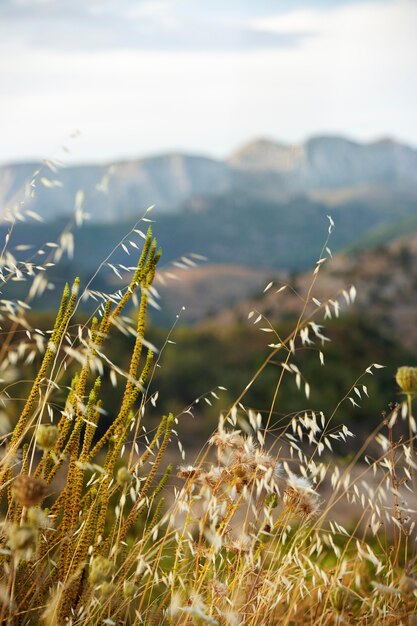 Hermoso paisaje natural de montaña.