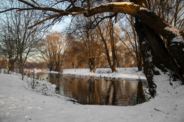 Hermoso paisaje natural con río