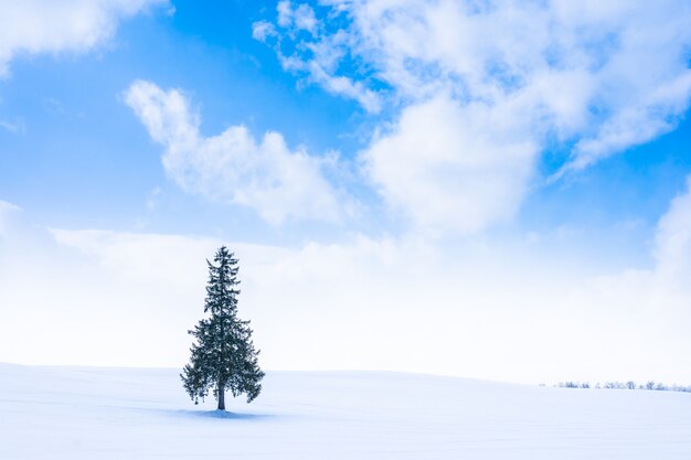 Hermoso paisaje de naturaleza al aire libre con un árbol solo en la temporada de clima invernal de nieve