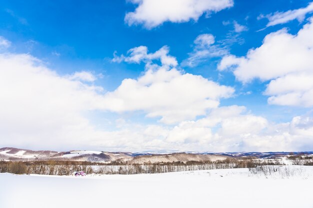 Hermoso paisaje de naturaleza al aire libre con un árbol en la temporada de invierno de nieve en Hokkaido