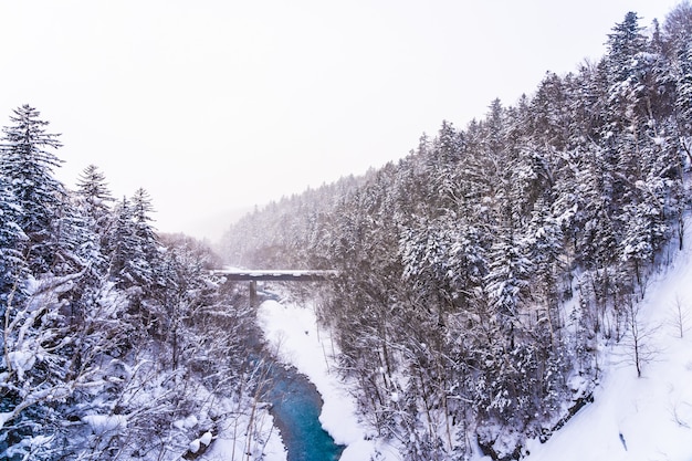 Hermoso paisaje de naturaleza al aire libre con cascada y puente de shirahige en la temporada de invierno de nieve