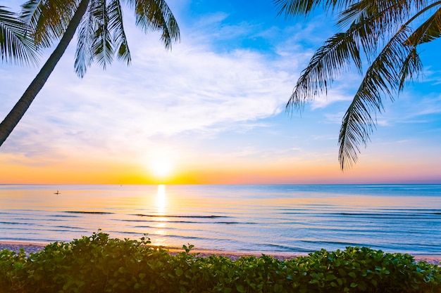 Hermoso paisaje de naturaleza al aire libre de mar y playa con palmera de coco.