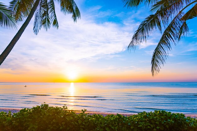 Hermoso paisaje de naturaleza al aire libre de mar y playa con palmera de coco.