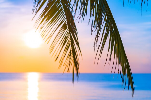 Hermoso paisaje de naturaleza al aire libre de mar y playa con palmera de coco.