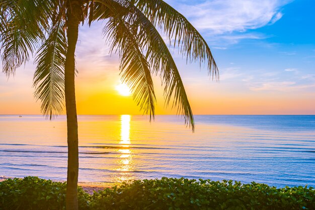 Hermoso paisaje de naturaleza al aire libre de mar y playa con palmera de coco.