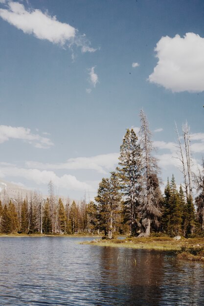 Hermoso paisaje de la naturaleza del campo con colinas y árboles bajo un cielo azul nublado