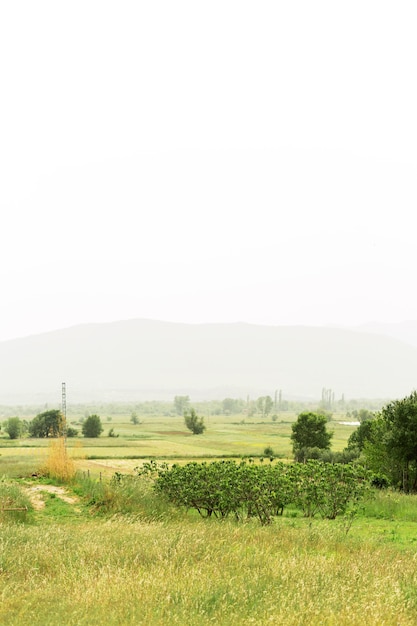 Hermoso paisaje con niebla