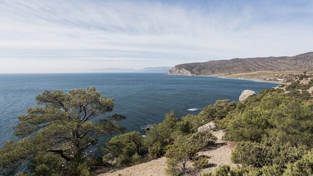 Hermoso paisaje oceánico y árboles verdes