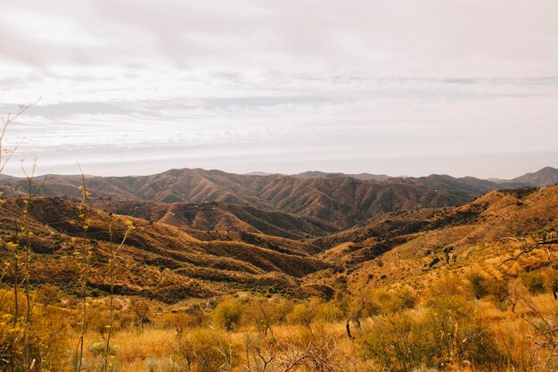 Hermoso paisaje de otoño