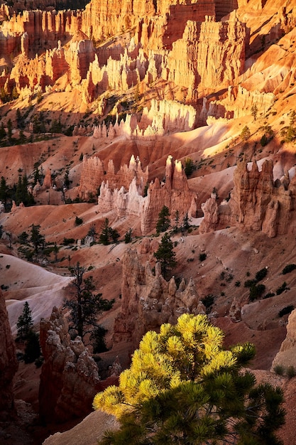 Hermoso paisaje de un paisaje de cañón en el Parque Nacional Bryce Canyon, Utah, EE.