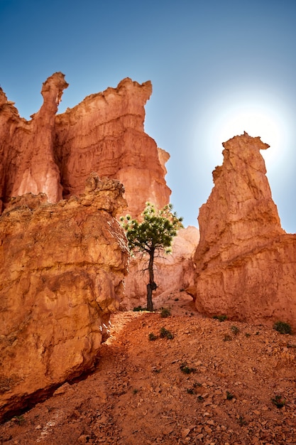 Hermoso paisaje de un paisaje de cañón en el Parque Nacional Bryce Canyon, Utah, EE.