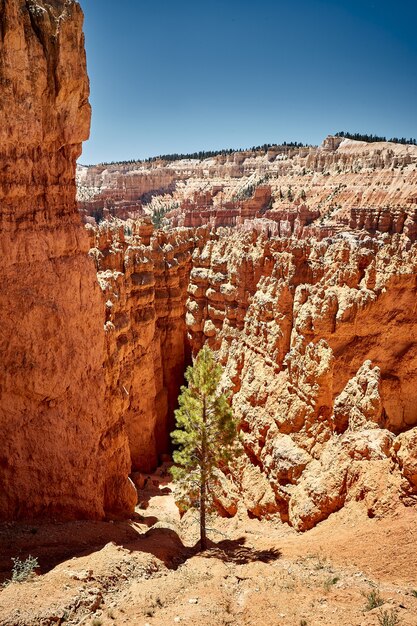 Hermoso paisaje de un paisaje de cañón en el Parque Nacional Bryce Canyon, Utah, EE.