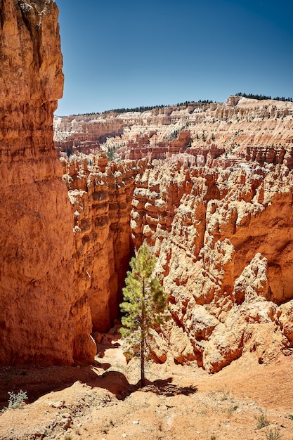 Hermoso paisaje de un paisaje de cañón en el Parque Nacional Bryce Canyon, Utah, EE.