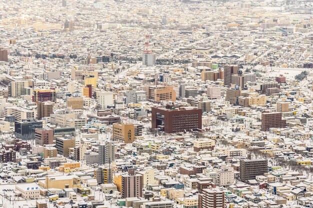 Hermoso paisaje y paisaje urbano de Mountain Hakodate para mirar alrededor del horizonte de la ciudad