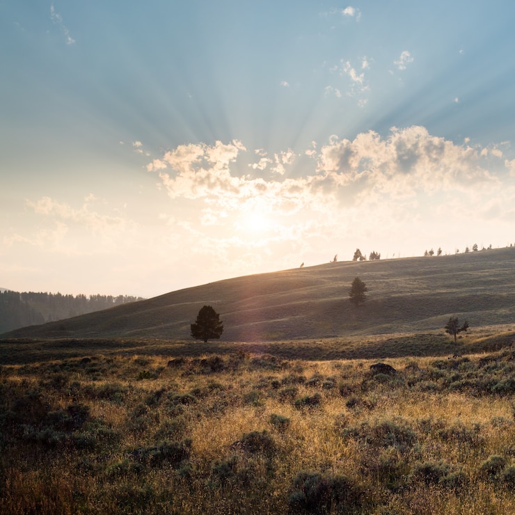 Foto gratuito hermoso paisaje de un paisaje en yellowstone con montañas y el amanecer