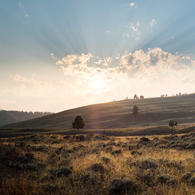 Hermoso paisaje de un paisaje en Yellowstone con montañas y el amanecer