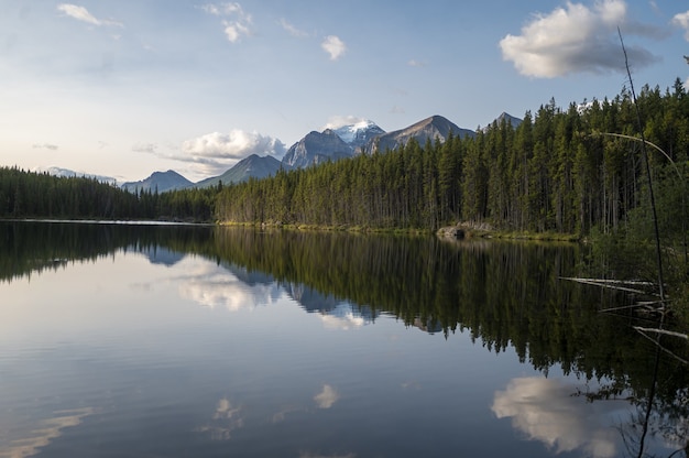 Hermoso paisaje de un paisaje