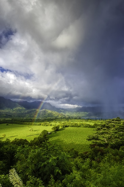 Hermoso paisaje con pasto verde y la impresionante vista del arco iris en las nubes de tormenta