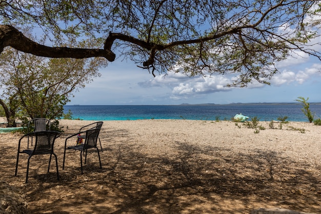 Hermoso paisaje de una playa perfecta para pasar las tardes de verano en Bonaire, Caribe