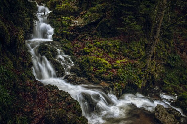 Hermoso paisaje de una poderosa cascada en un bosque cerca de formaciones rocosas cubiertas de musgo