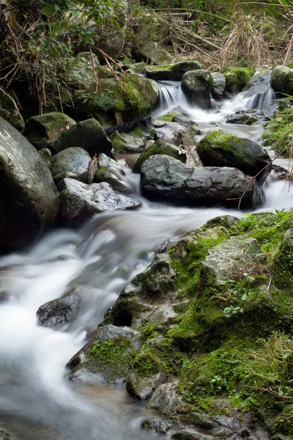 Hermoso paisaje de una poderosa cascada en el bosque cerca de formaciones rocosas